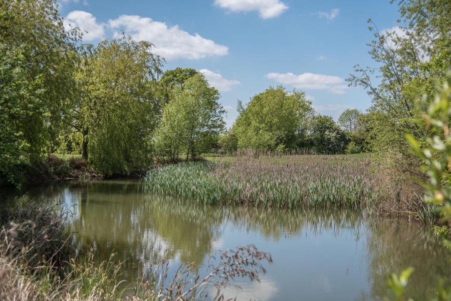 Kingfishers At Cretingham Country Park Villa Woodbridge Exterior photo